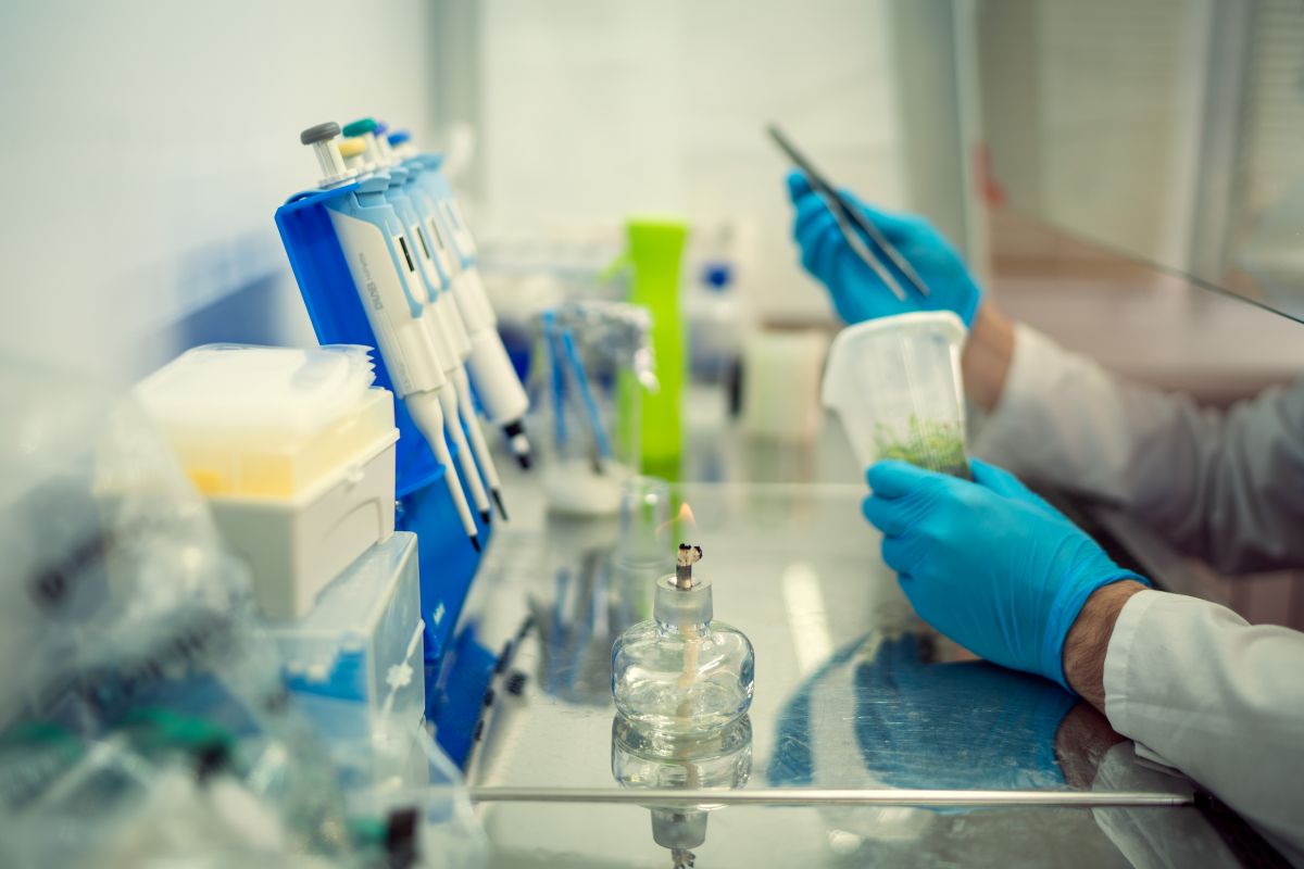 Фото: Александр Плонский / «Агроэксперт»