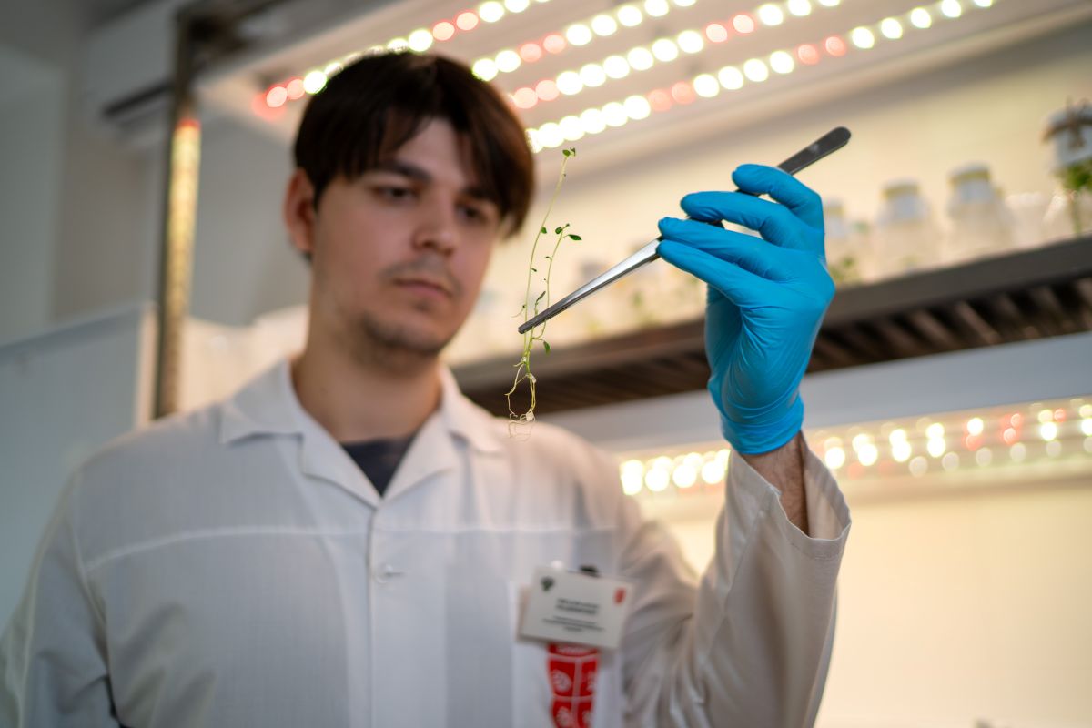 Фото: Александр Плонский / «Агроэксперт»