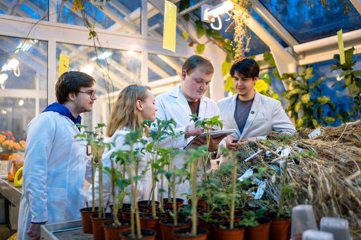 Фото: Александр Плонский / «Агроэксперт»