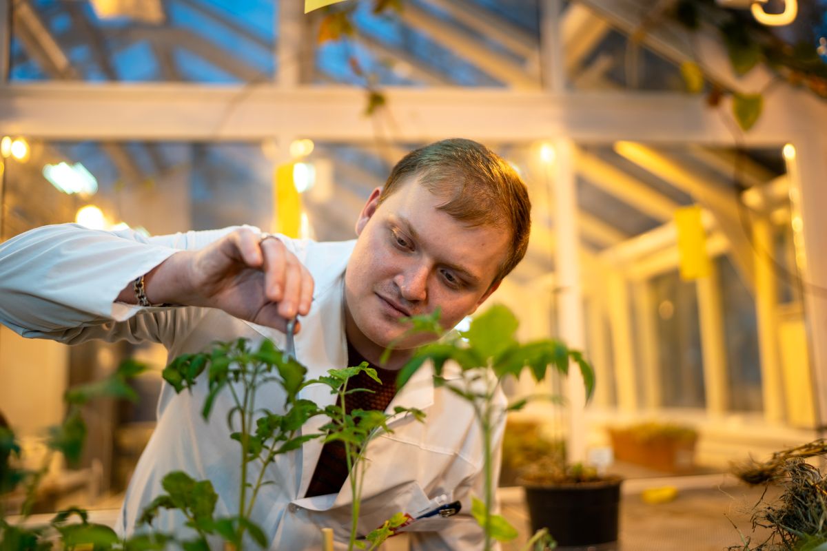 Фото: Александр Плонский / «Агроэксперт»