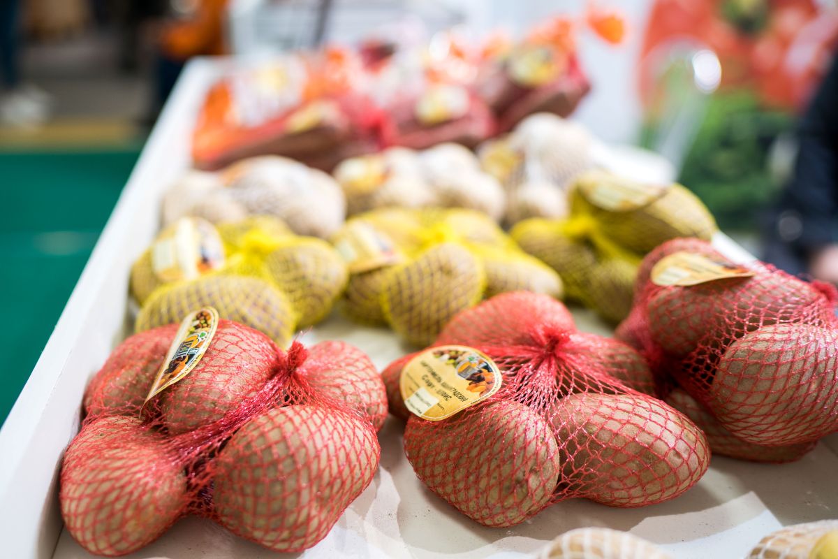 Фото: Александр Плонский / «Агроэксперт»