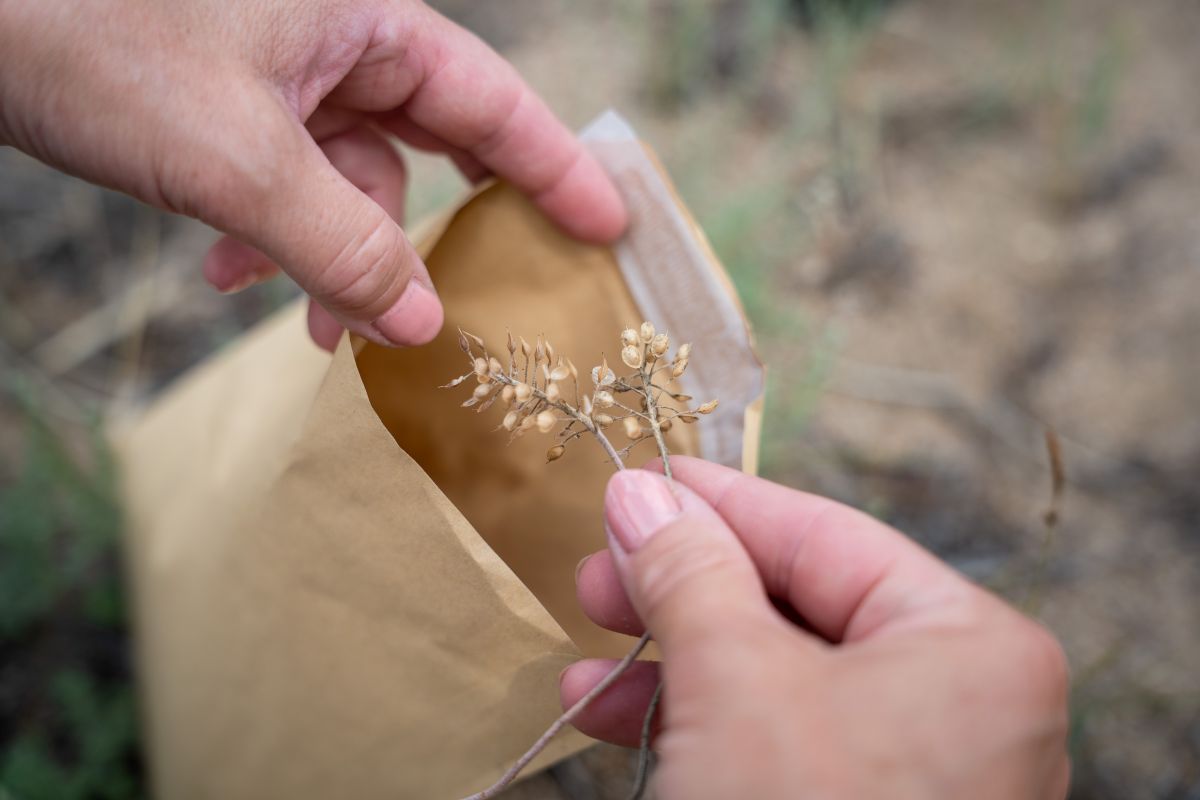 Фото: Александр Плонский / «Агроэксперт»