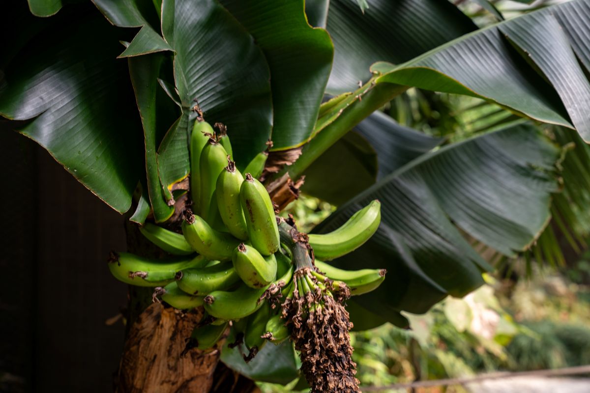 Фото: Александр Плонский / «Агроэксперт»