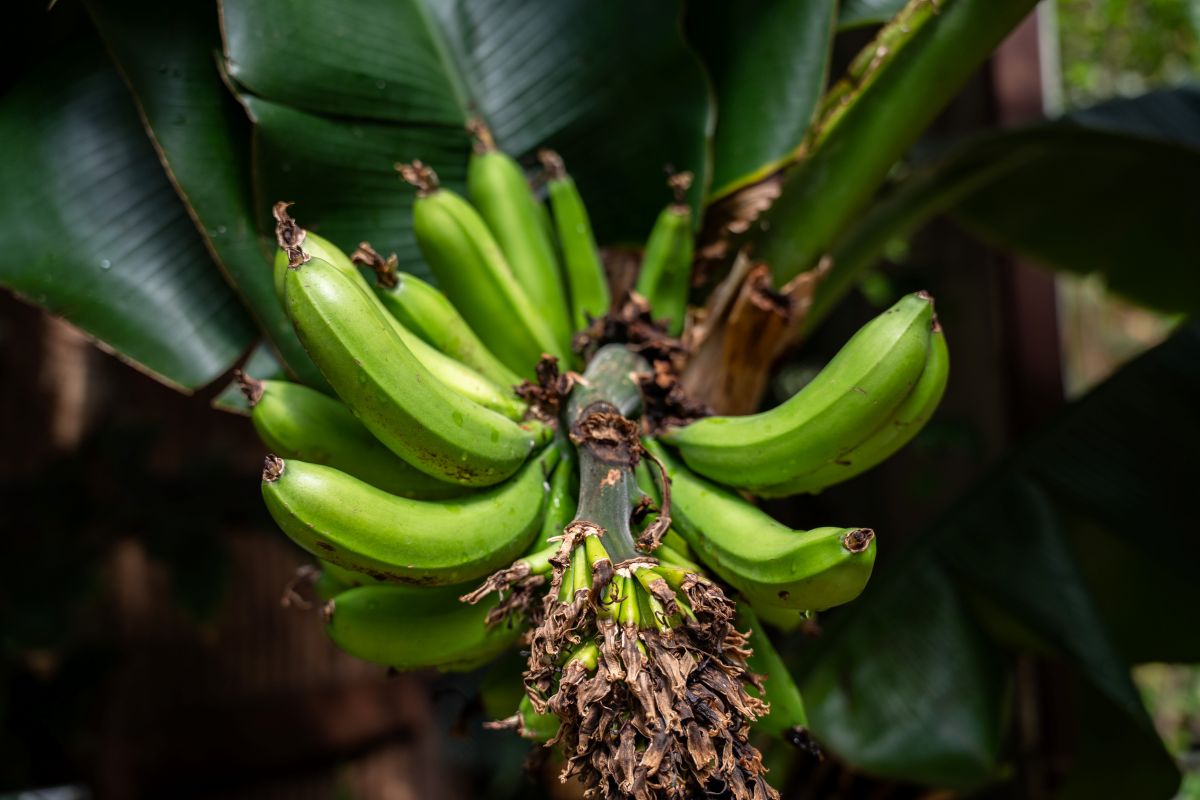 Фото: Александр Плонский / «Агроэксперт»