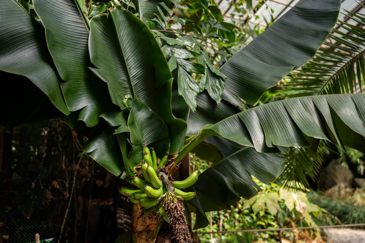 Фото: Александр Плонский / «Агроэксперт»