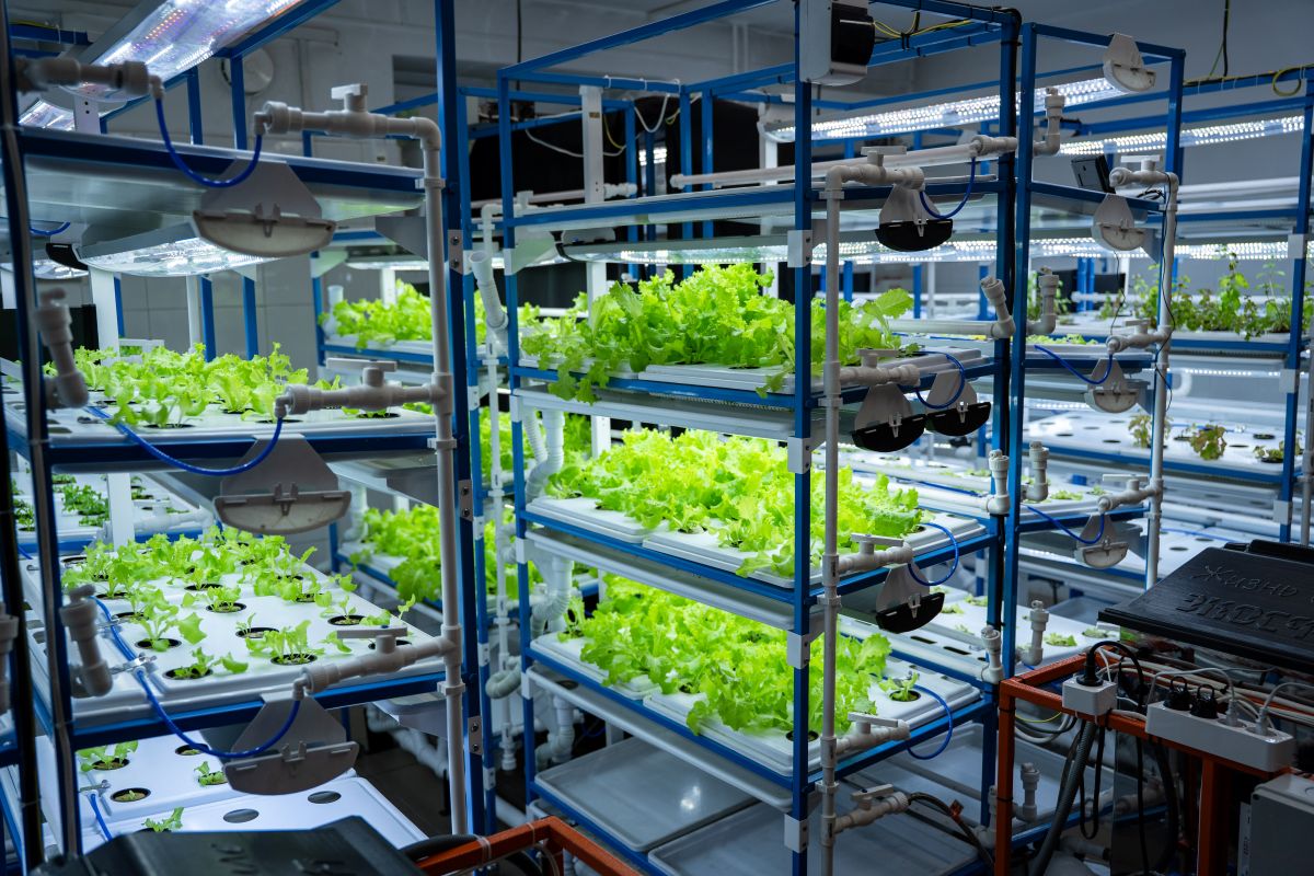 Фото: Александр Плонский / «Агроэксперт»