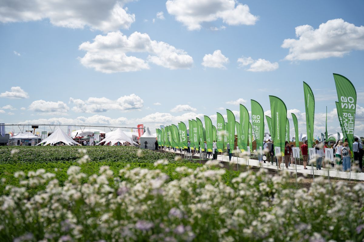 Фото: Александр Плонский / «Агроэксперт»
