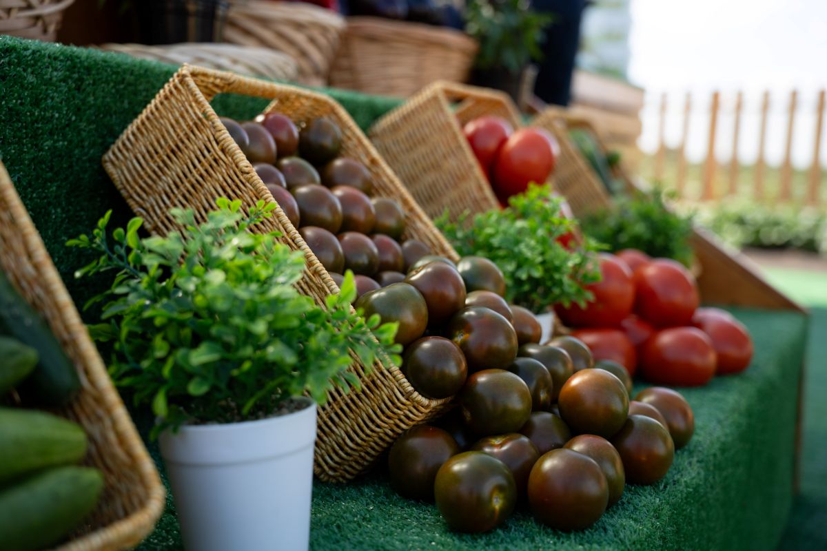 Фото: Александр Плонский / «Агроэксперт»