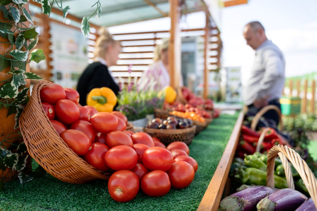 Фото: Александр Плонский / «Агроэксперт»