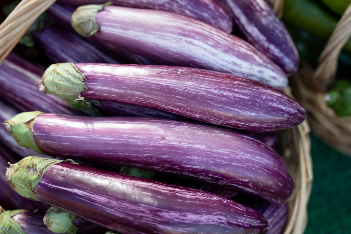 Фото: Александр Плонский / «Агроэксперт»