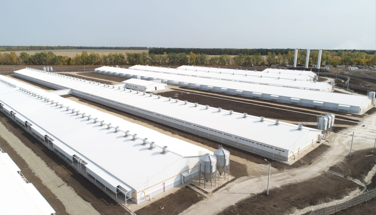 Фото: пресс-служба «Агроэко»