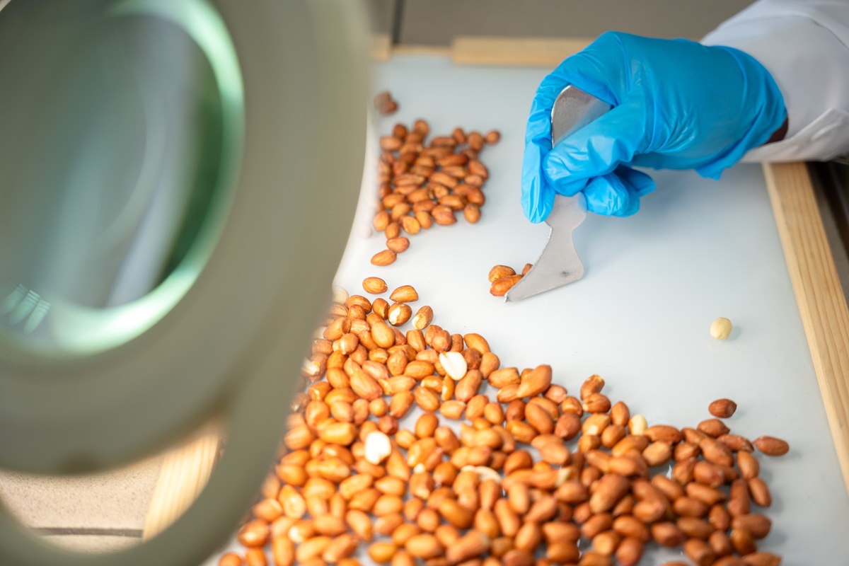 Фото: Александр Плонский / "Агроэксперт"