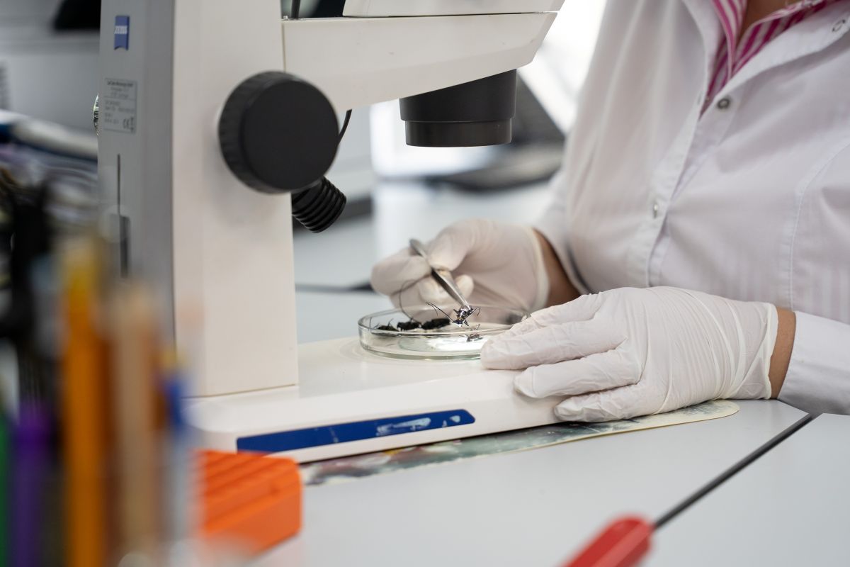 Фото: Александр Плонский / "Агроэксперт"