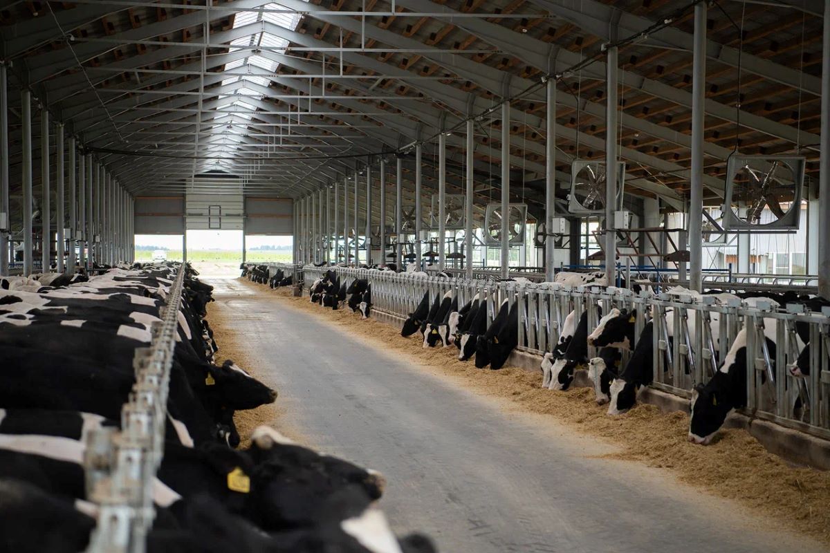 Фото: ГК "Эконива"