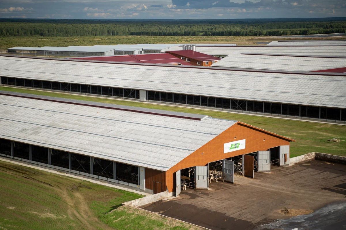 Фото: ГК "Эконива"