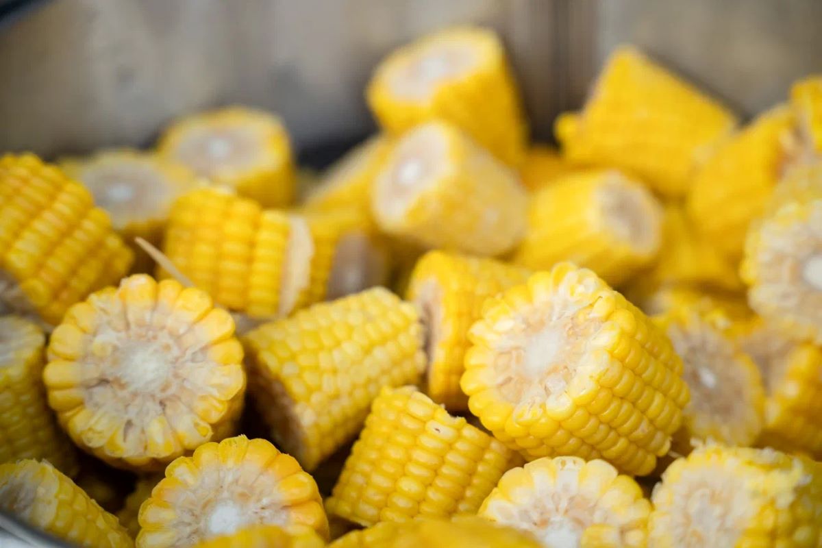 Фото: Александр Плонский / "Агроэксперт" 