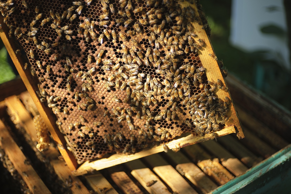 Фото: Александр Наумов / "Агроэксперт" 