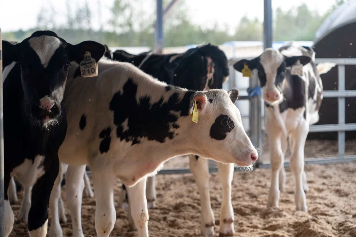 Фото: Александр Плонский / "Агроэксперт"