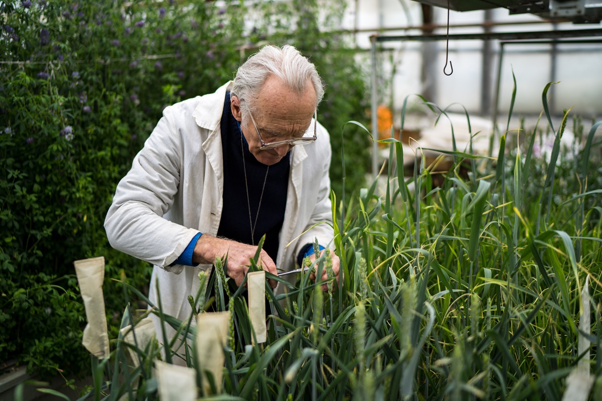 Фото: Александр Плонский / "Агроэксперт" 