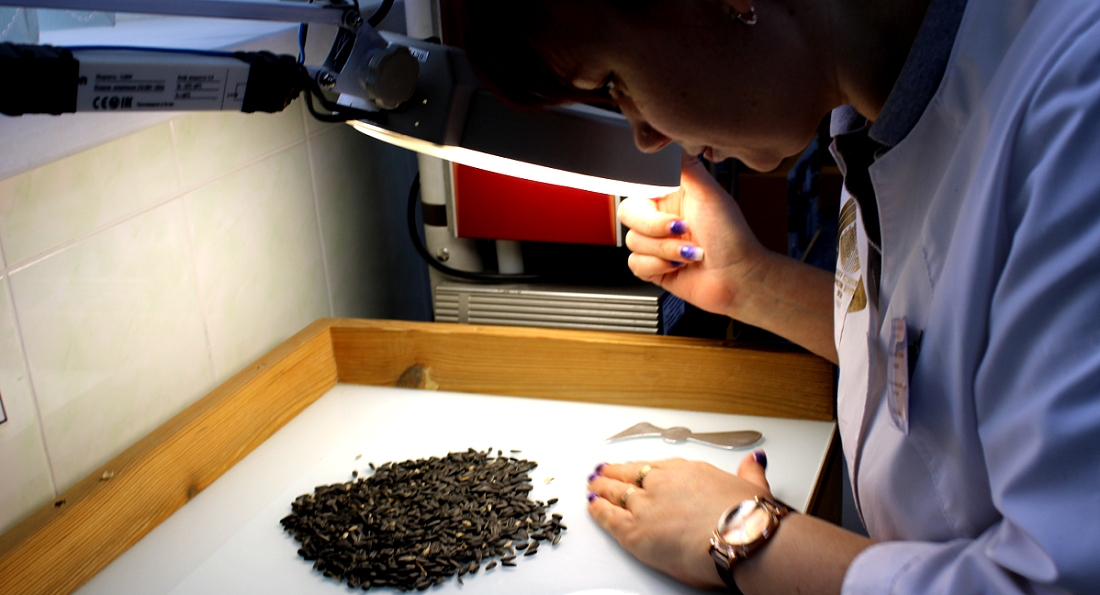 Фото: ФГБУ ЦОК «АПК» 