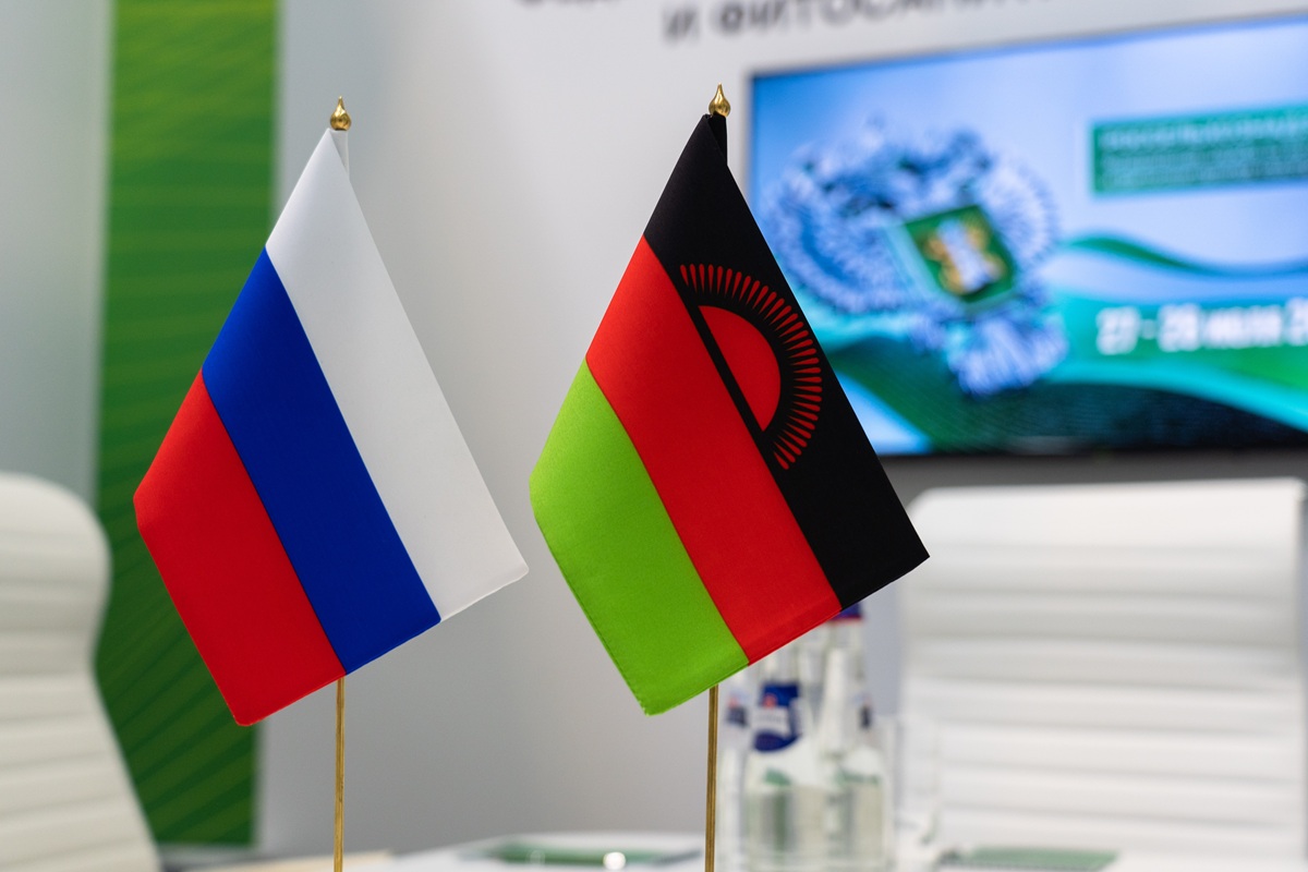 Фото: Александр Плонский / "Агроэксперт" 