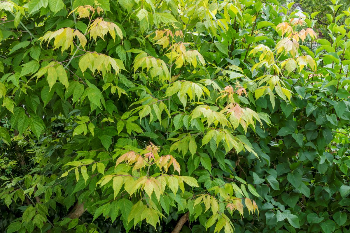 Фото: pwmotion / GettyImages