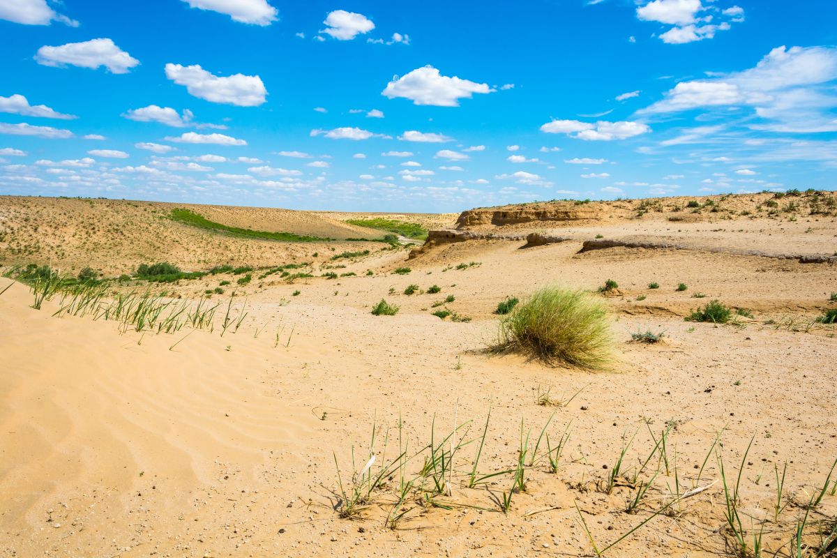 Фото: FotoVSmirnov / GettyImages