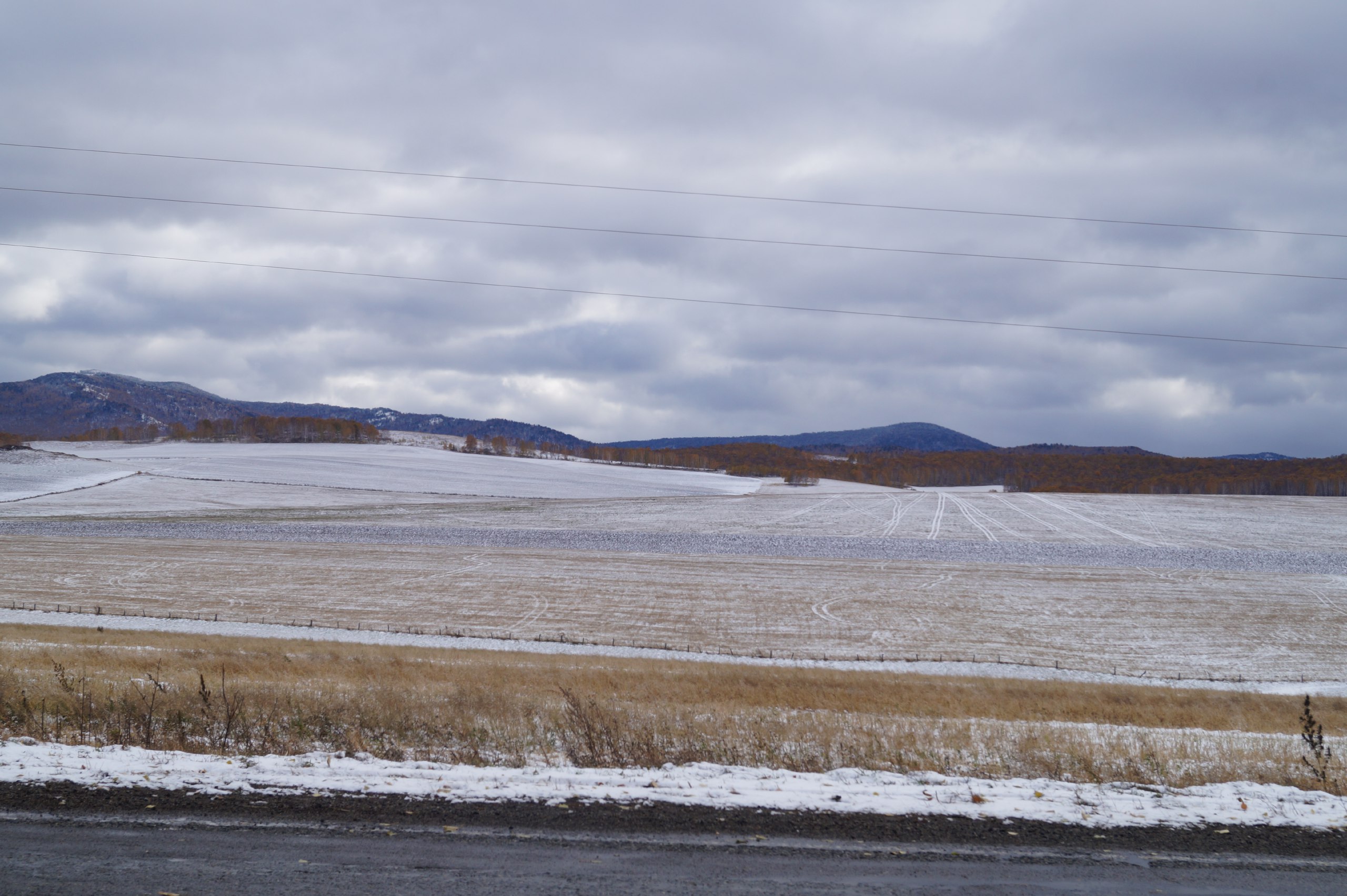 Фото: Минсельхозпрод Хакасии t.me/mcxpx