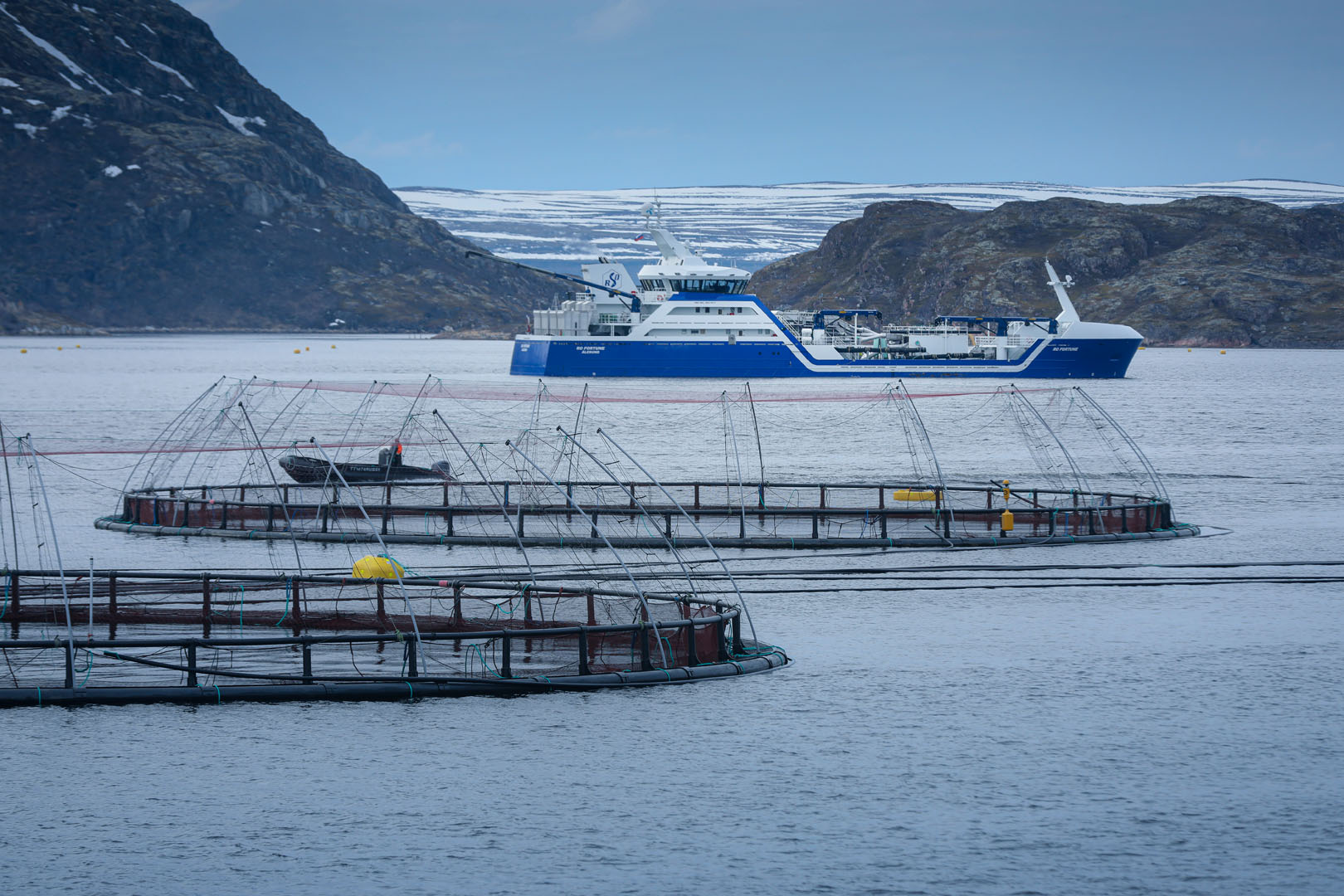 Фото предоставлено компанией «Инарктика»