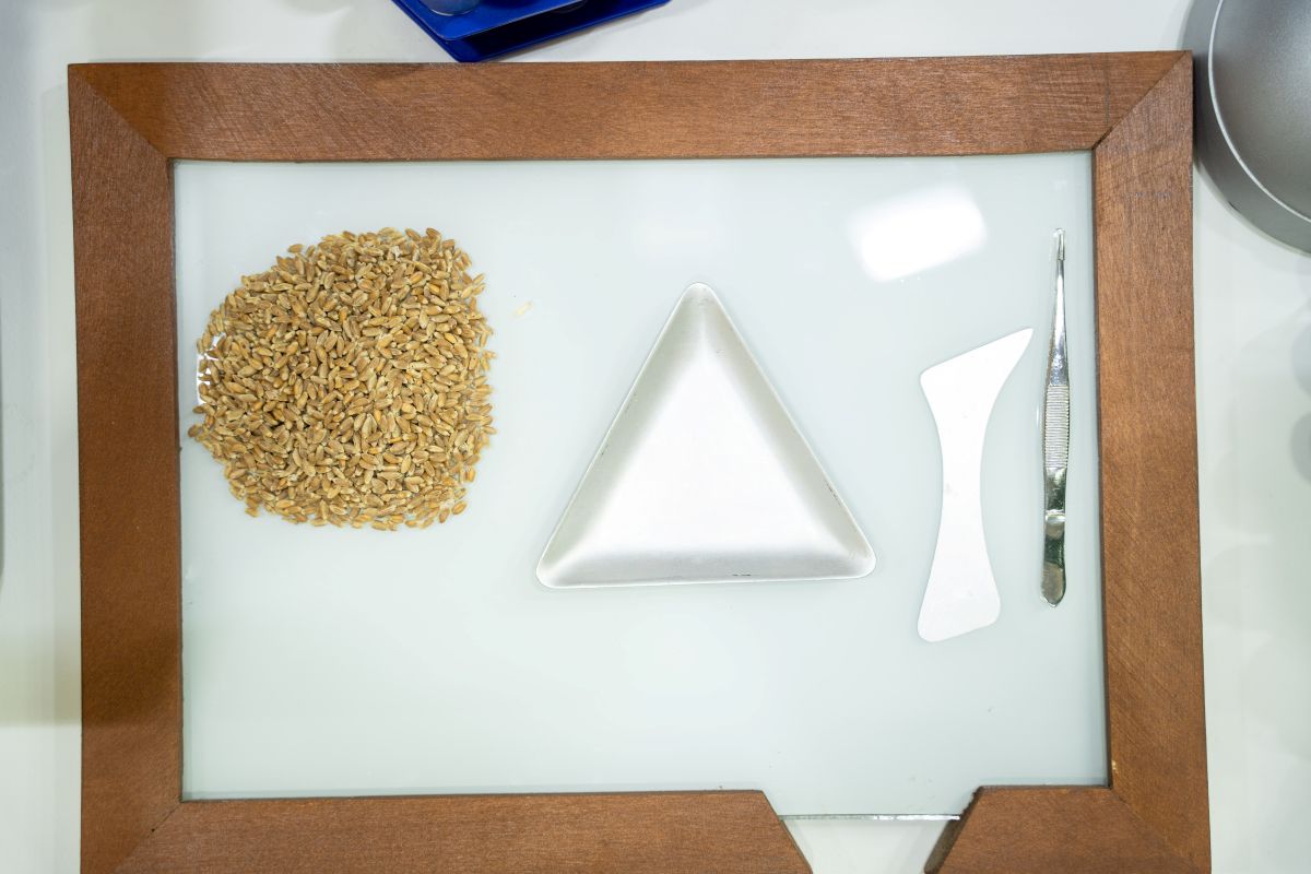 Фото: Александр Плонский / «Агроэксперт»