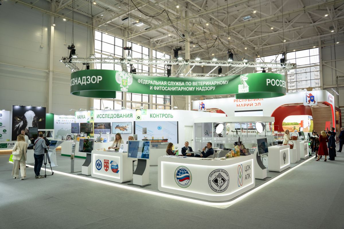 Фото: Александр Плонский / «Агроэксперт»