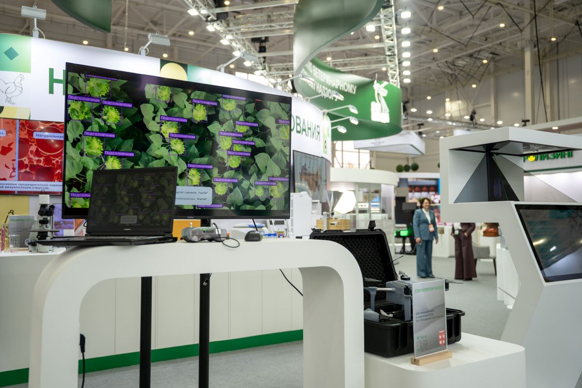 Фото: Александр Плонский / «Агроэксперт»