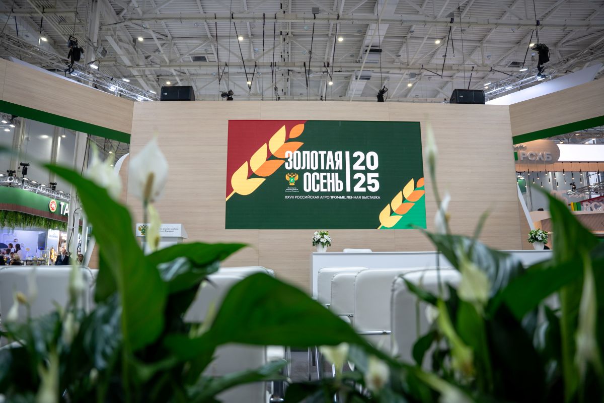 Фото: Александр Плонский / «Агроэксперт»