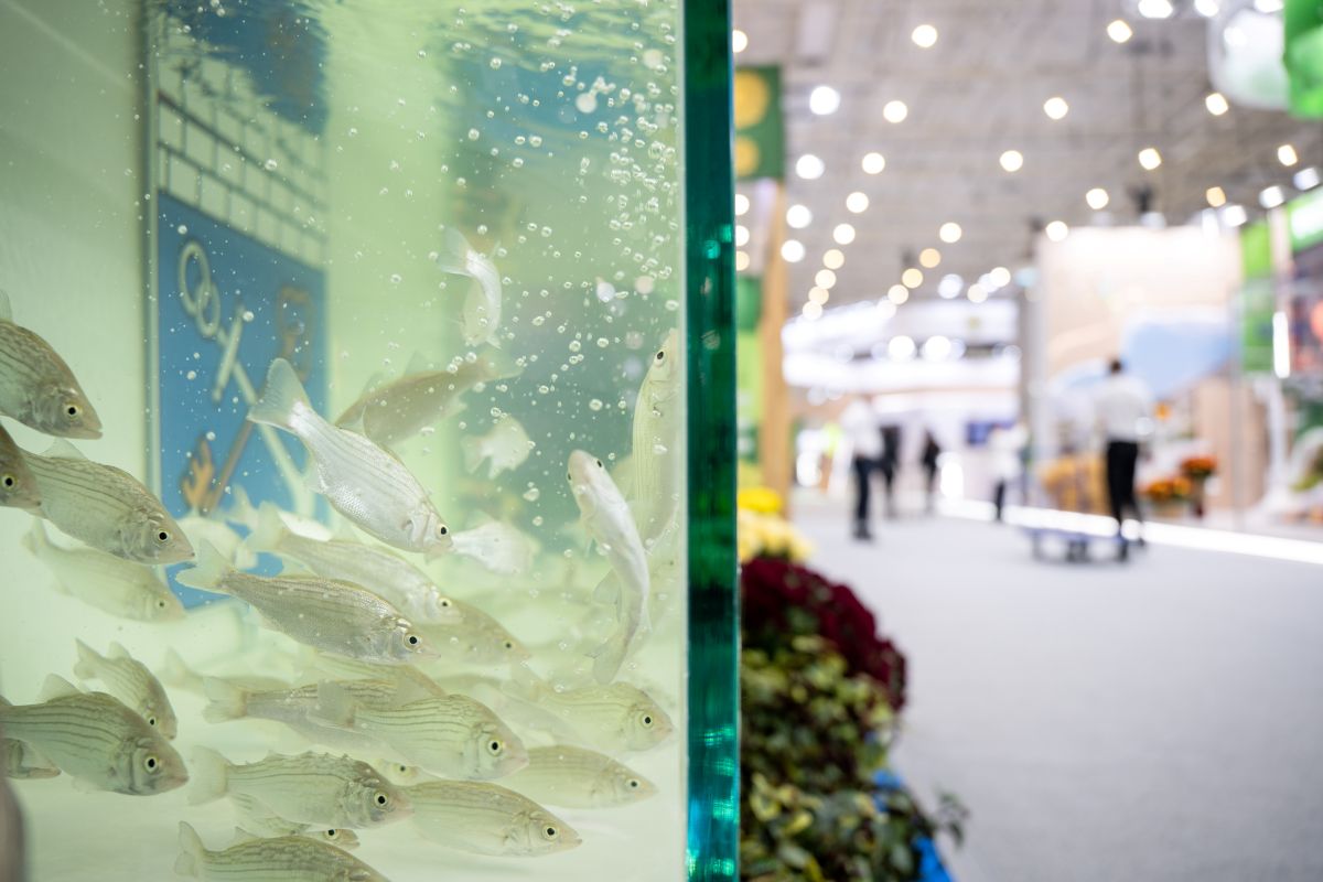 Фото: Александр Плонский / «Агроэксперт»