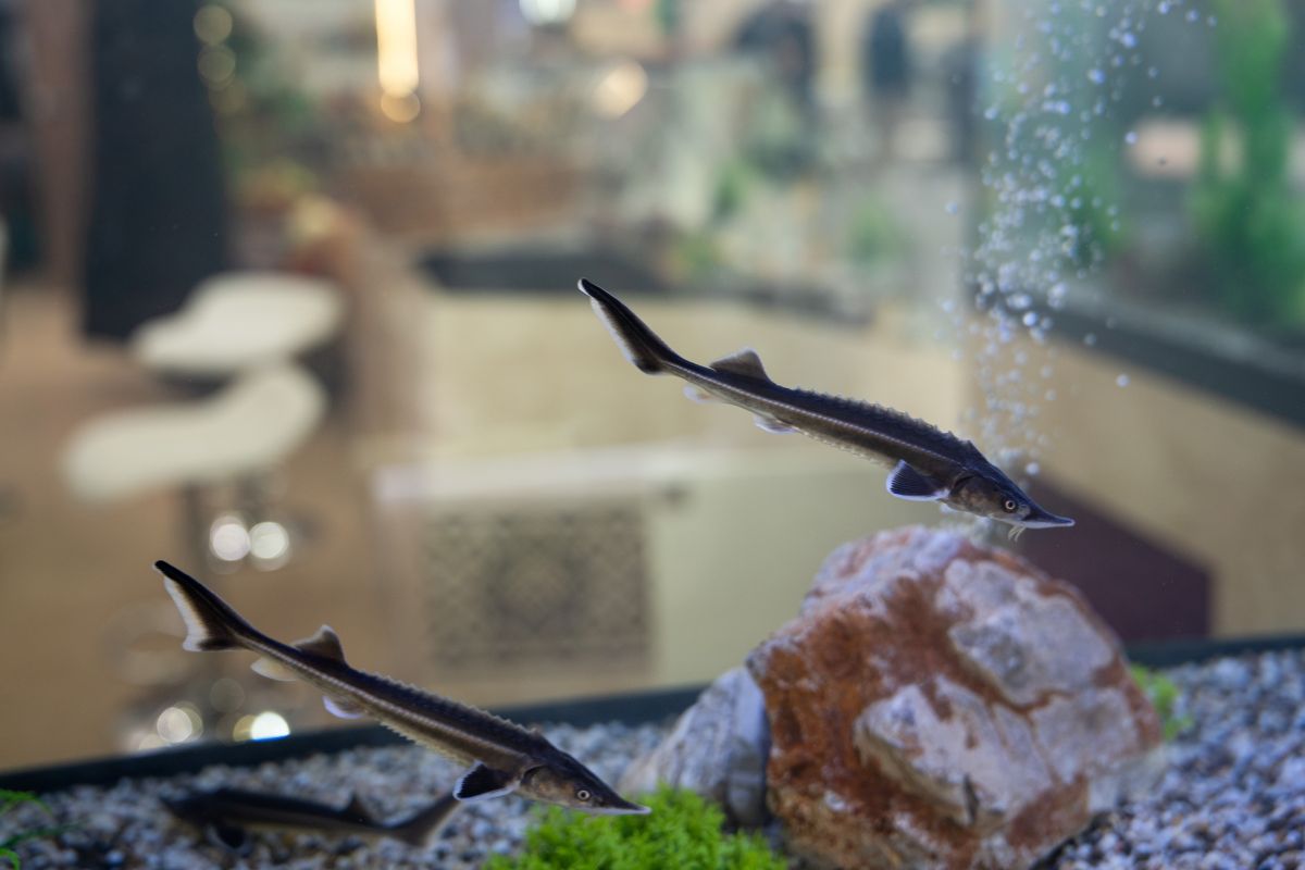 Фото: Александр Плонский / «Агроэксперт»