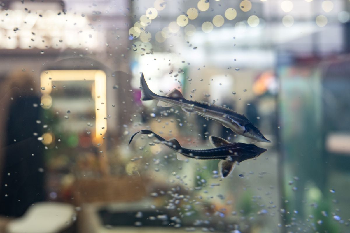 Фото: Александр Плонский / «Агроэксперт»