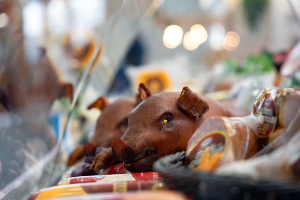 Фото: Александр Плонский / «Агроэксперт»