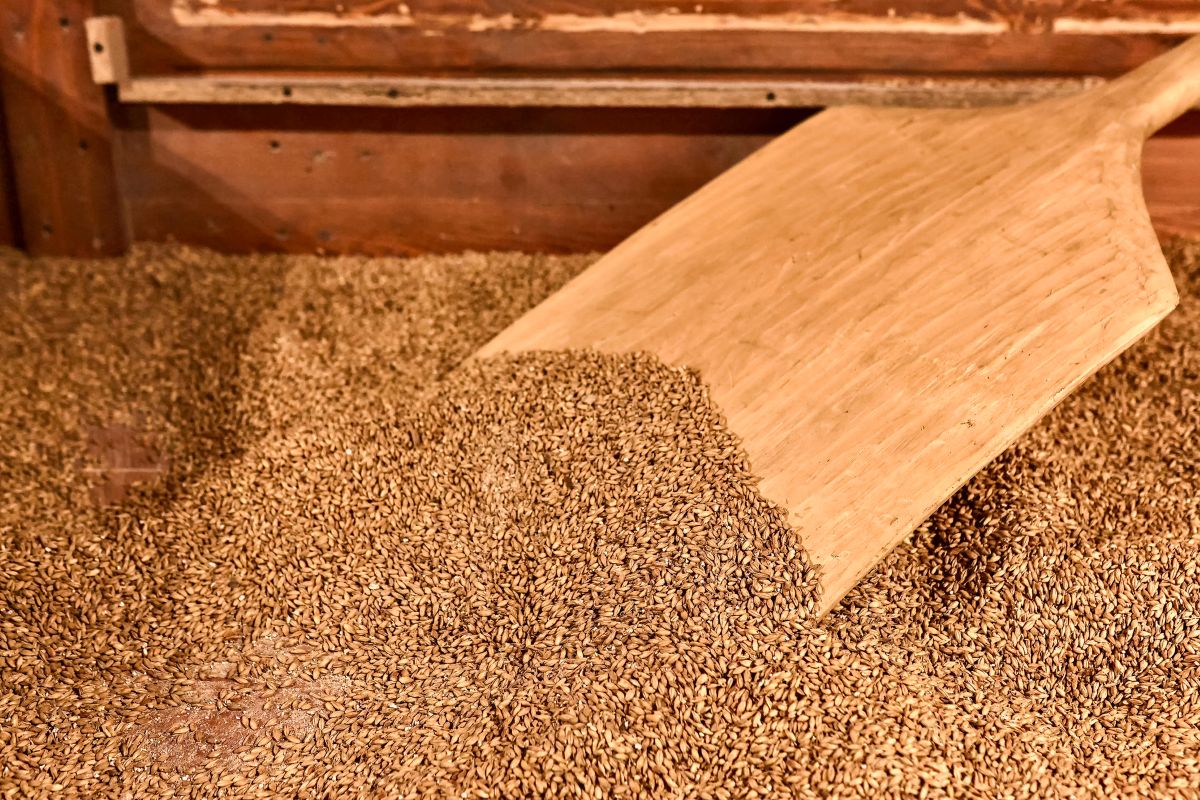 Фото: Stanislav Sablin / GettyImages