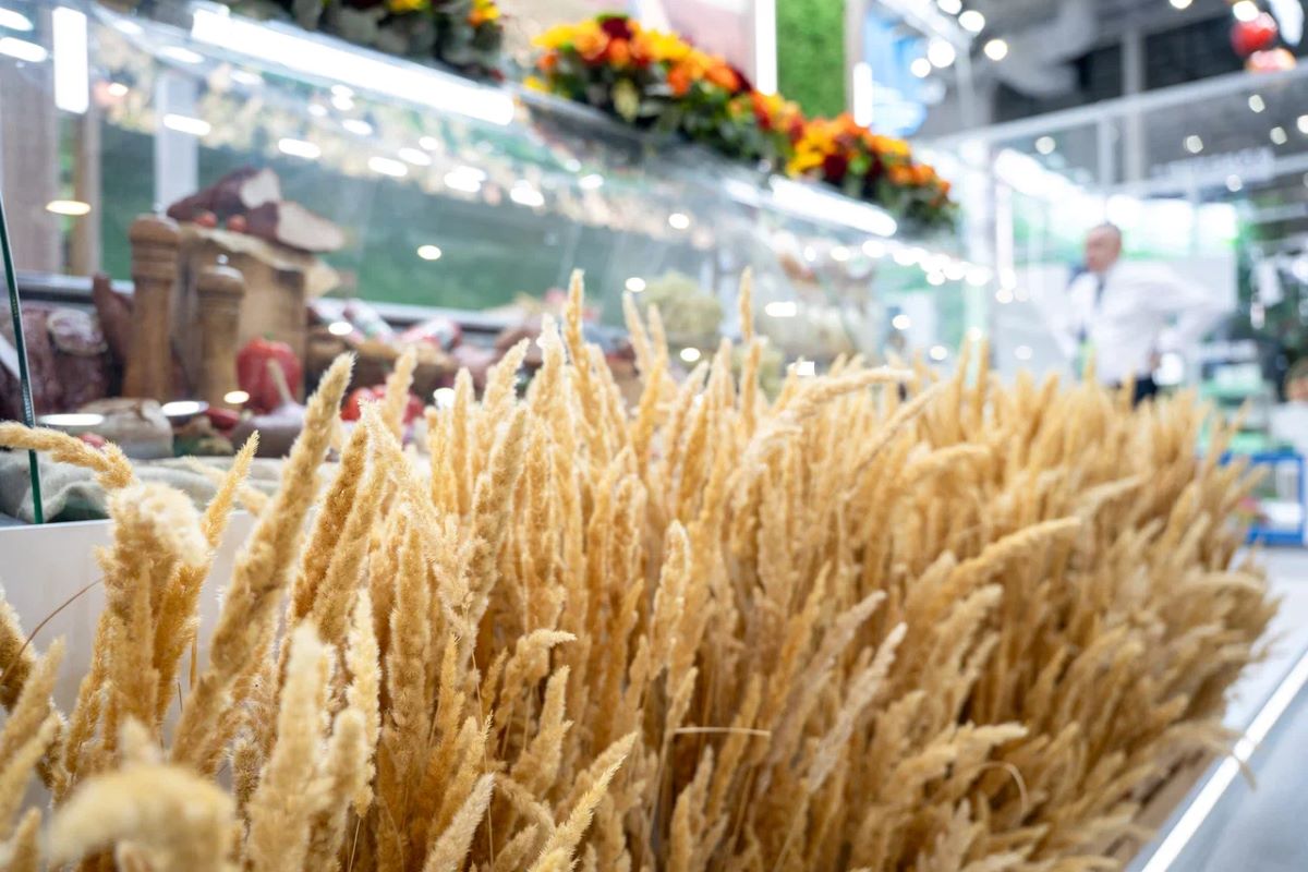 Фото: Александр Плонский / «Агроэксперт»