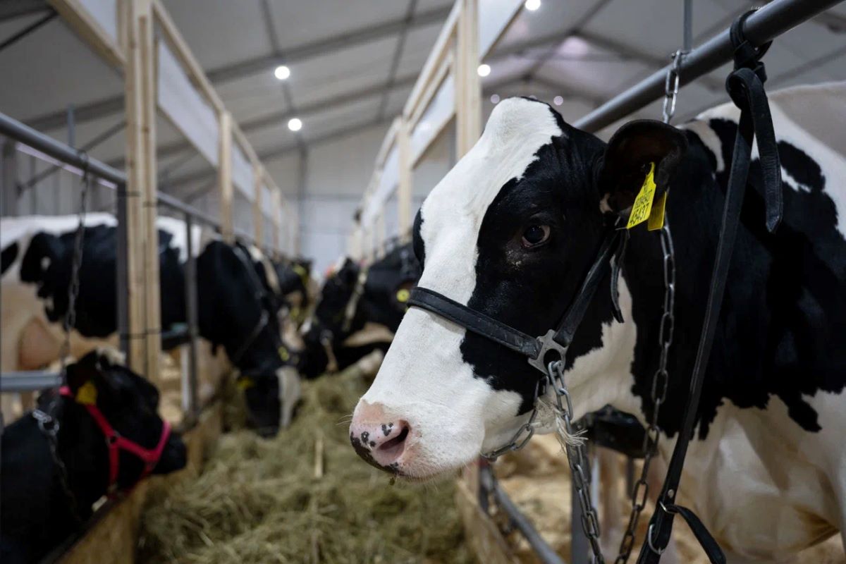 Фото: Александр Плонский / «Агроэксперт»