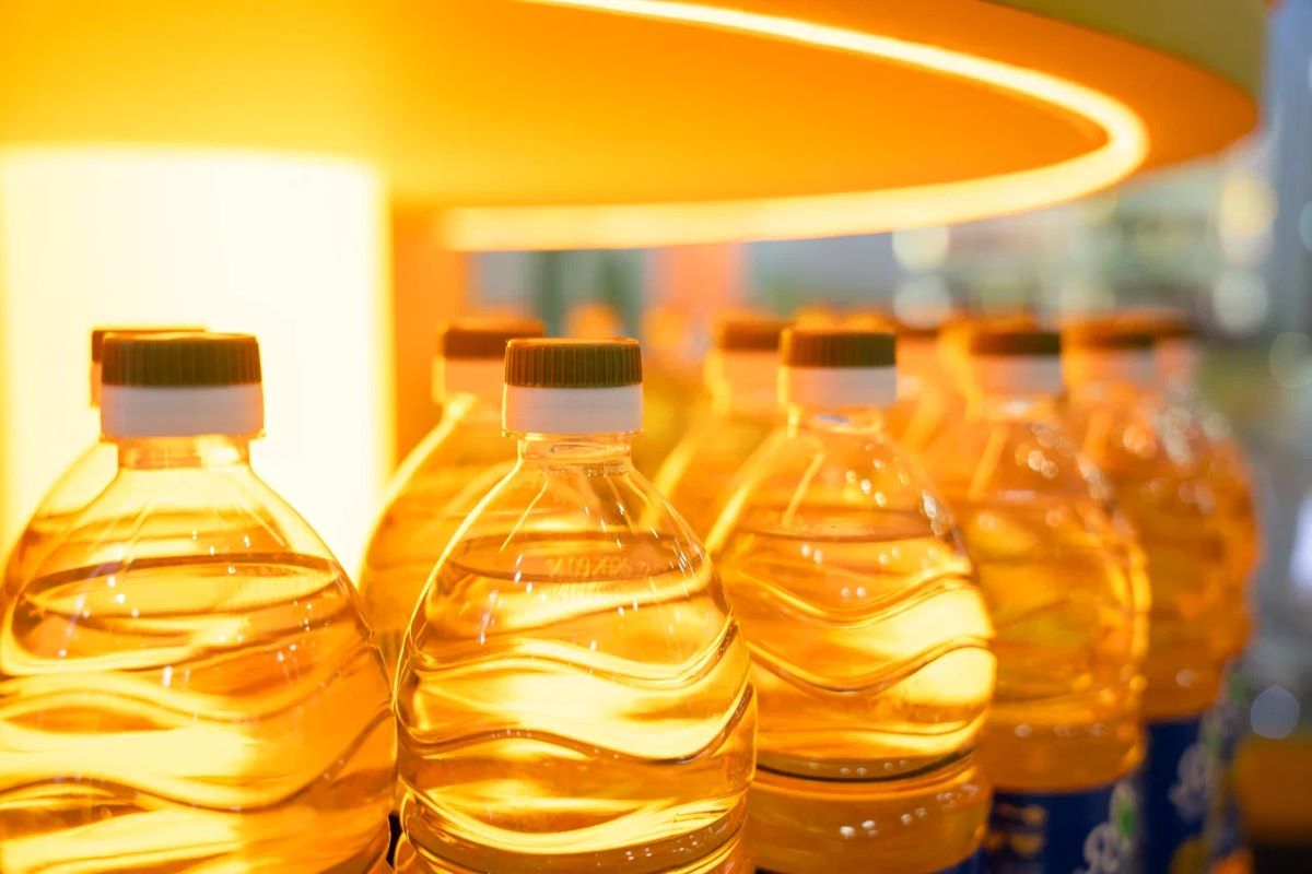 Фото: Александр Плонский / «Агроэксперт»