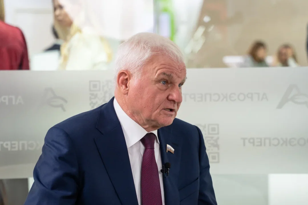 Владимир Плотников