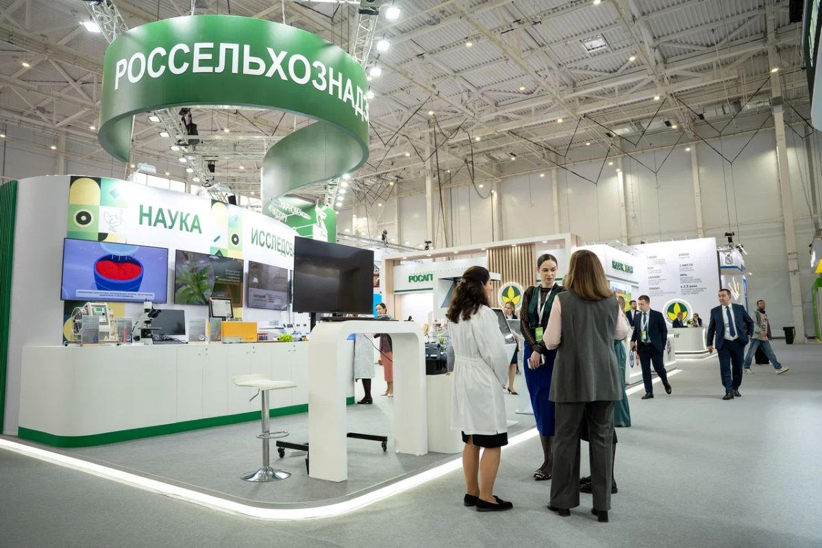 Фото: Александр Плонский / «Агроэксперт»