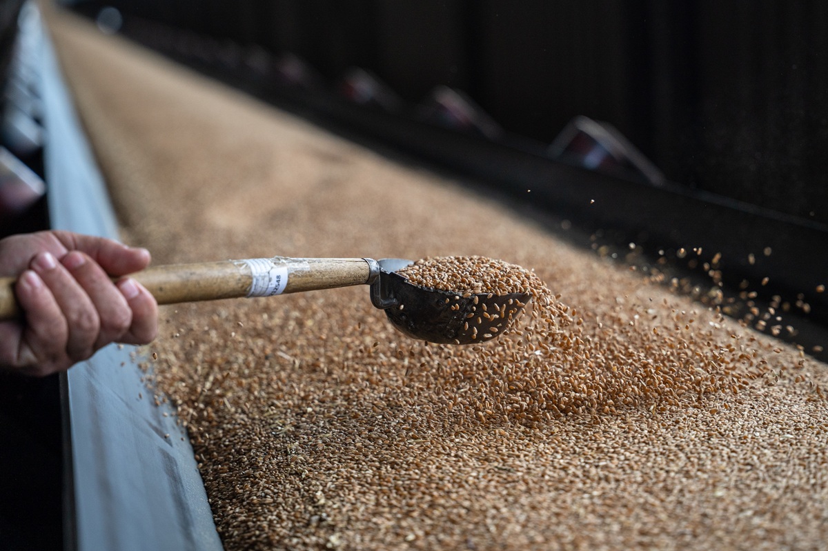 Фото: Александр Плонский / "Агроэксперт"