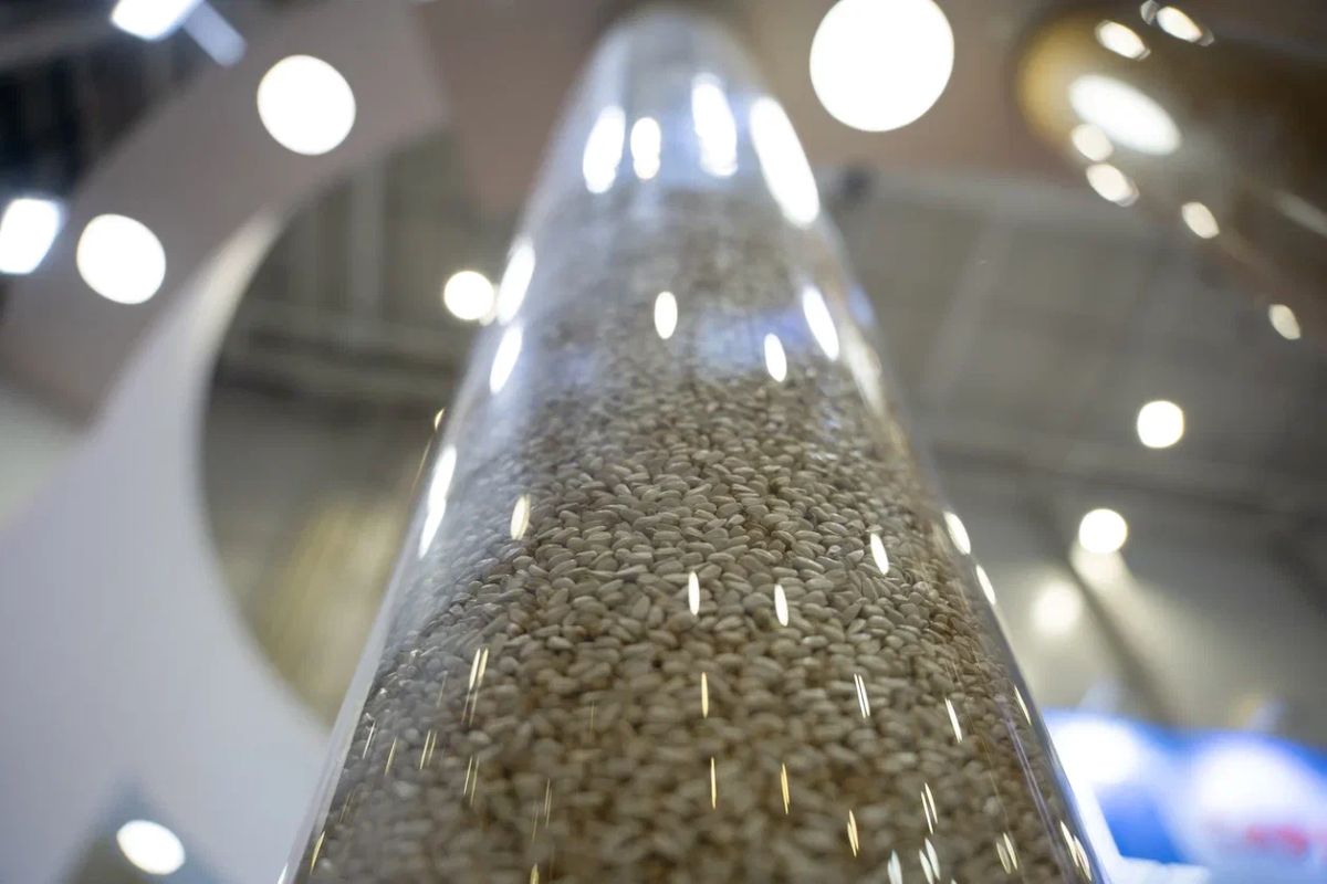 Фото: Александр Плонский / «Агроэксперт»