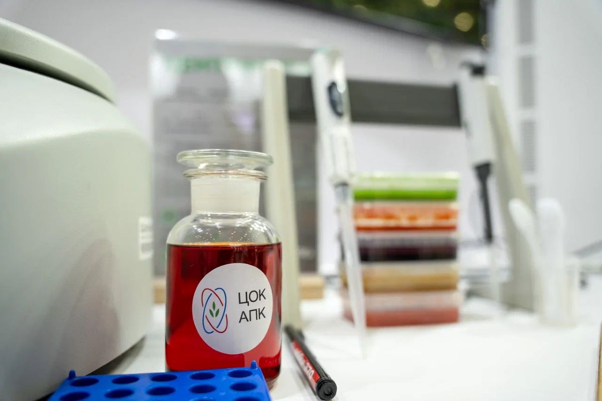 Фото: Александр Плонский / "Агроэксперт" 