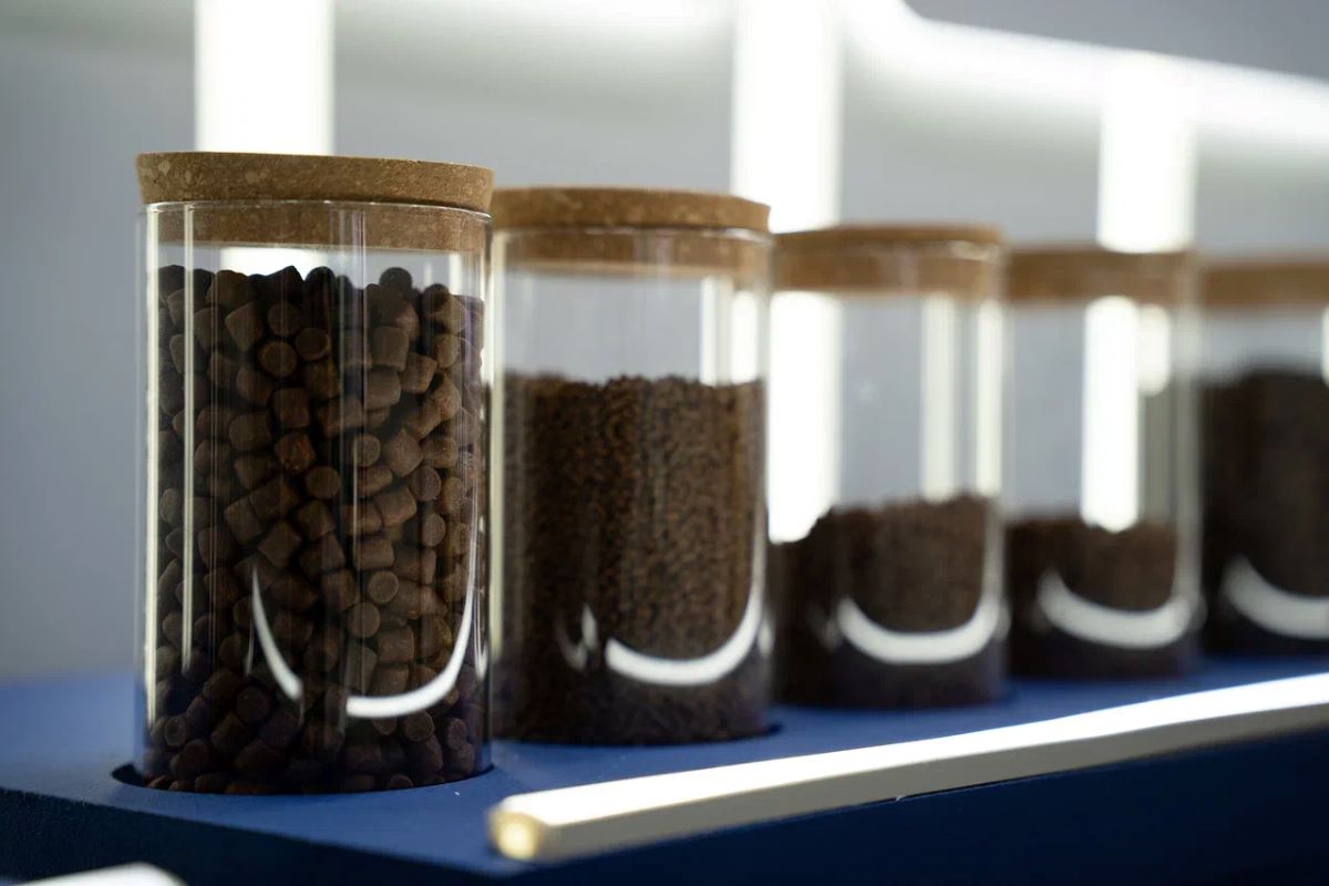 Фото: Александр Плонский / «Агроэксперт»