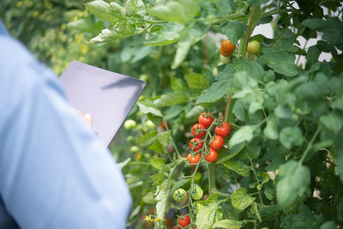 Фото: loveguli / GettyImages