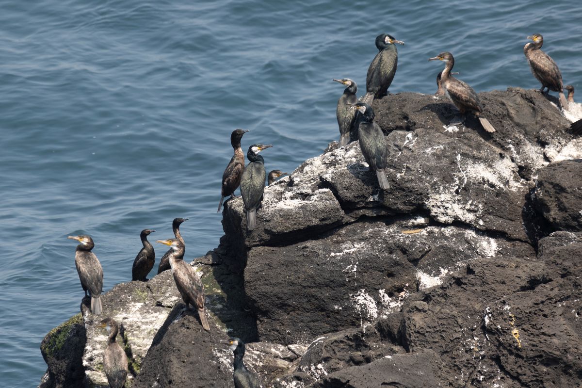 Фото: Lenorlux / GettyImages