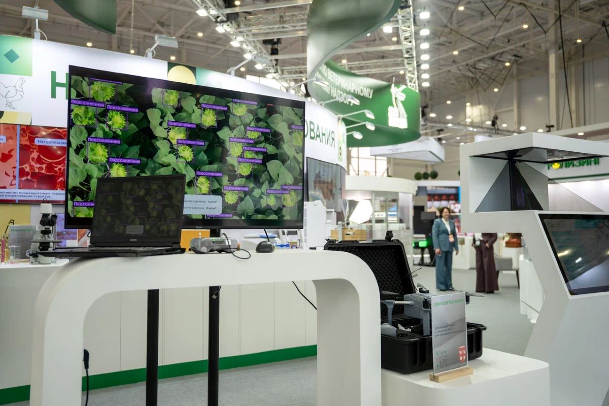 Фото: Александр Плонский / "Агроэксперт" 